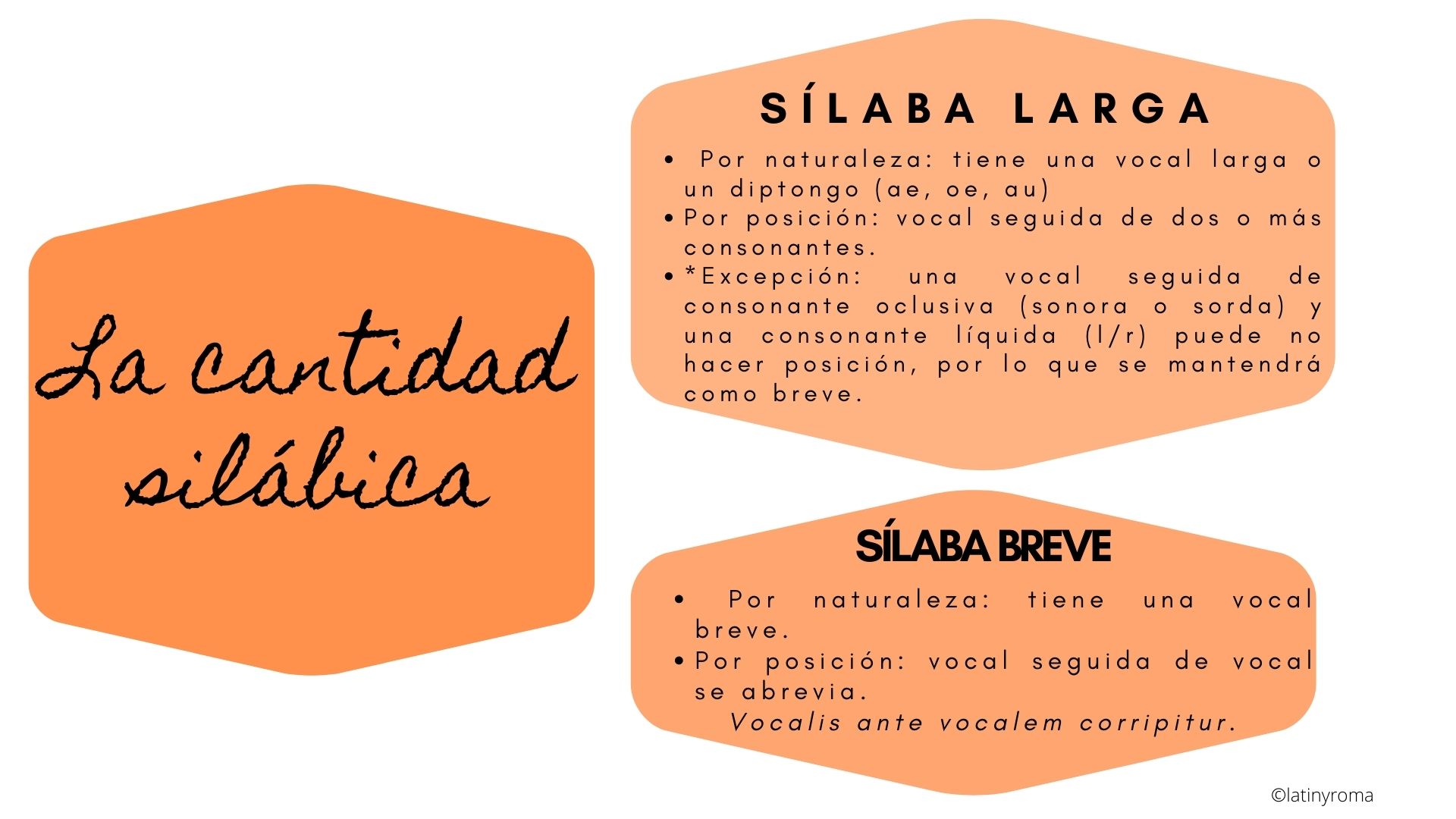 Infografía La Cantidad Silábica Latín y Roma